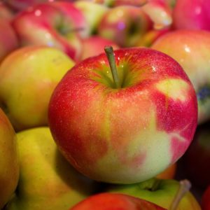 pommes jonagold