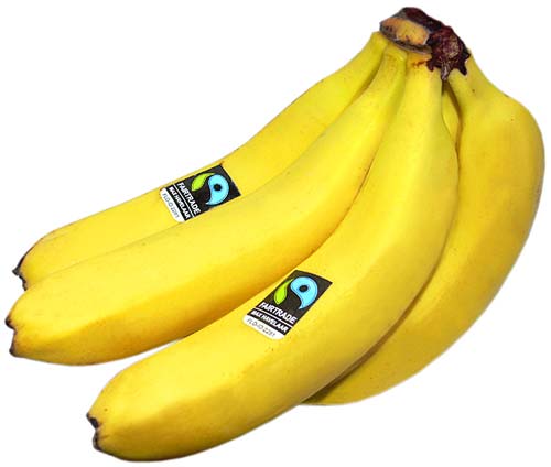 Bananes Fair Trade 1 kg - Bioceno