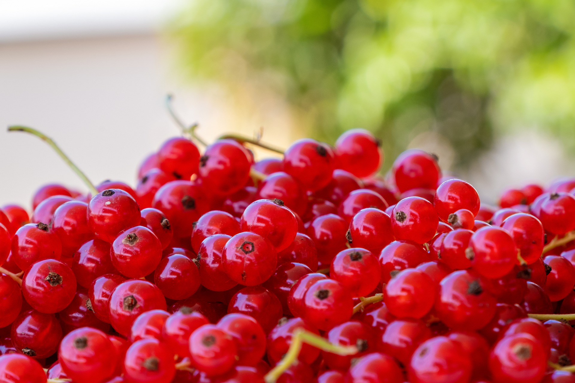 Groseille rouge (200 gr) - Bioceno