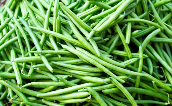 Haricot vert