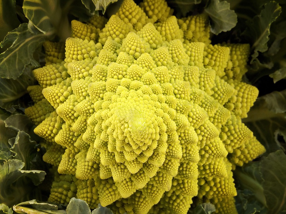 Chou Romanesco 1pce - Bioceno