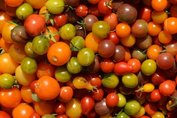 Tomates cerise mixte